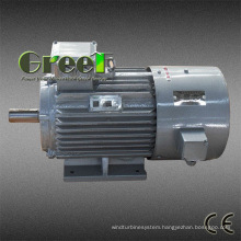 3000rpm Permanent Magnet Generator for Wind and Hydro Turbine